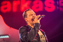 1_20449252_1428285733904075_1469116538726173596_o